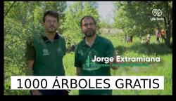 1000 arboles