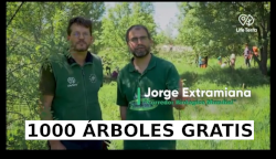 1000 árboles