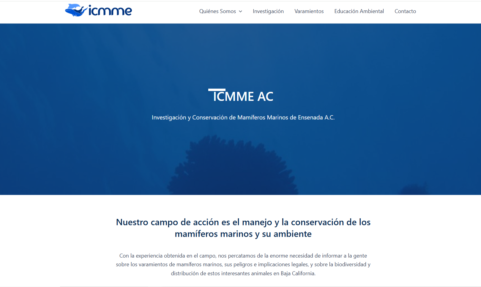 El Grupo de Investigación y Conservación de Mamíferos Marinos de Ensenada, A.C.(ICMME) nuevo miembro del Comité Internacional del Corredor Biológico Mundial