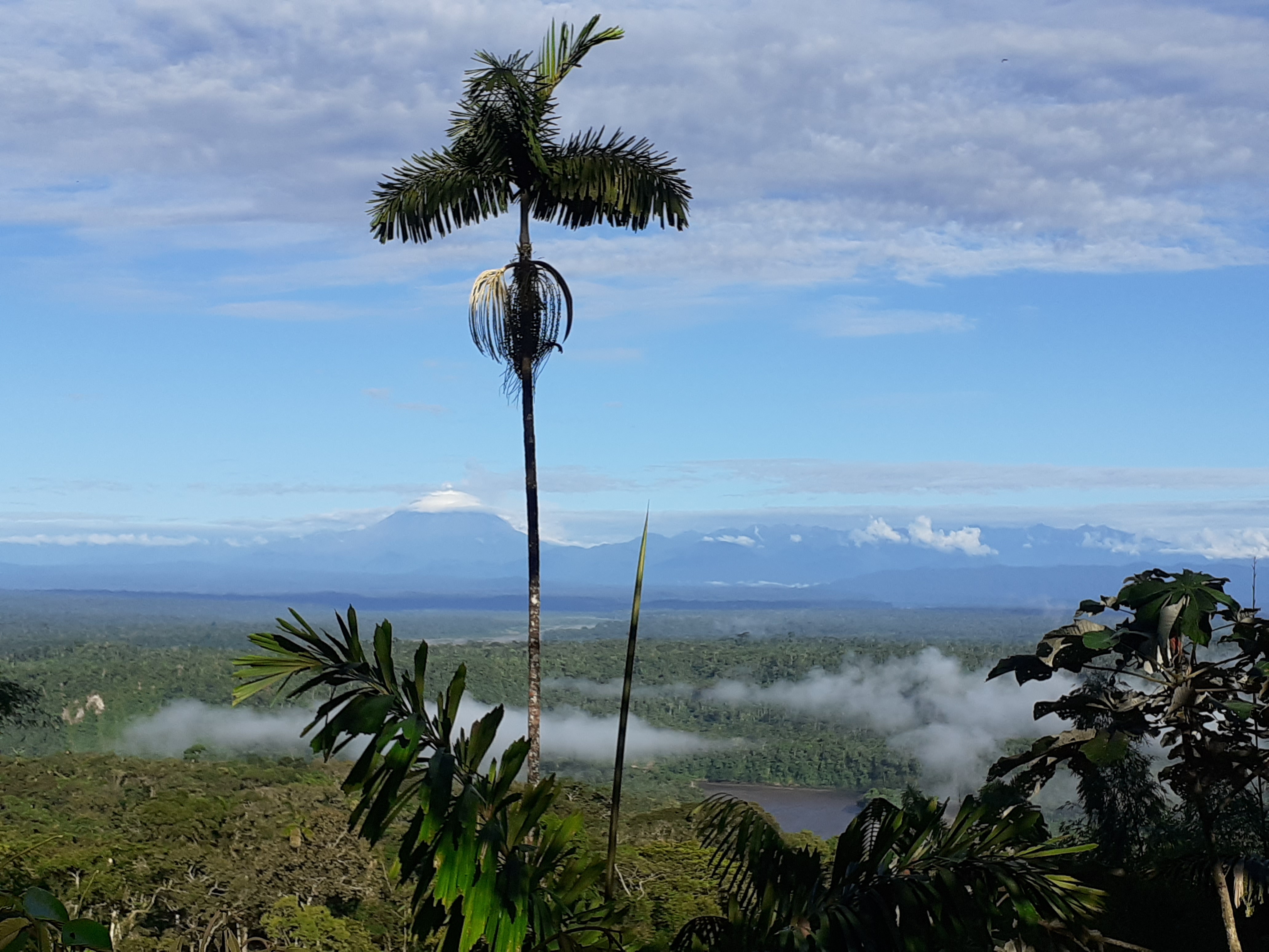 La Comunidad Ecológica Shuar SHAKAIM, del Pueblo Indígena originario “Shuar” y su territorio se  adhieren al Corredor Biológico Mundial